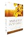 Amplified Outreach Bible, Paperback: Capture the Full Meaning Behind the Original Greek and Hebrew