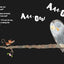 The Great AAA-OOO! (Lets Read Together)