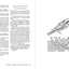 The Outlandish Companion Volume Two: The Companion to The Fiery Cross, A Breath of Snow and Ashes, An Echo in the Bone, and Written in My Own Heart's Blood (Outlander)