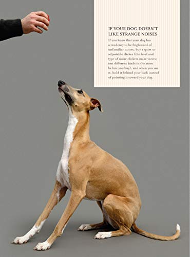 Fun & Games for a Smarter Dog: 50 Great Brain Games to Engage Your Dog (CompanionHouse Books) Teach New Behaviors Step-by-Step with Play-Based Training and Adaptations for Skill Level and Personality