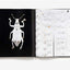 Microsculpture: Portraits of Insects