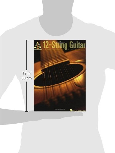 12-String Guitar: 25 Note-for-Note Transcriptions Plus Tips on Tuning & Capoing (Guitar Recorded Versions)