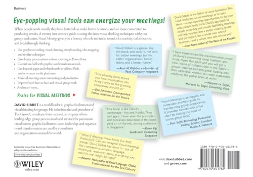 Visual Meetings: How Graphics, Sticky Notes and Idea Mapping Can Transform Group Productivity