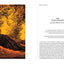 McSweeney's Issue 58 (McSweeney's Quarterly Concern): 2040 AD - Climate Fiction edition (McSweeney's Quarterly Concern, 58)