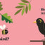 Where's the Puffin?: (An Interactive, Sensory Lift-the-Flap Book with Felt Flaps and a Mirror for Babies & Toddlers. Friendly Birds Include a Kingfisher, Blackbird, & Swan.)
