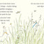 Insect Detective: Read and Wonder by Voake, Steve