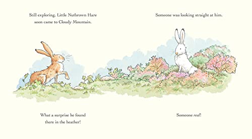 Will You Be My Friend?: (Discover Little Nutbrown Hare's New Friendship in This Follow-Up to 'Guess How Much I Love You' - For Toddlers & Preschoolers)