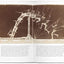 A History of Photography: From 1839 to the Present