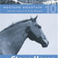Stone Horse (Mustang Mountain) by Siamon, Sharon