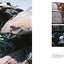Junkyard: Behind the Gates at California's Secretive Europea