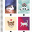 Brain Games - Sticker by Number: Cats! (28 Images to Sticker)