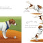 Decoy Saves Opening Day
