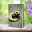 God's Power to Change Your Life: Exchanging Personal Mediocrity for Spiritual Significance (Living with Purpose)