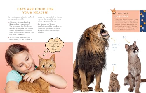 A Kid's Guide to Cats: How to Train, Care for, and Play