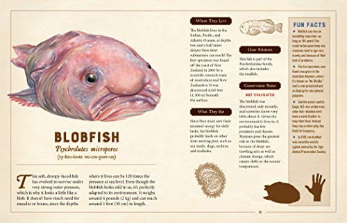 A Curious Collection of Peculiar Creatures: An Illustrated Encyclopedia (Curious Collection of Creatures)