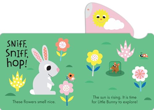 Hop, Hop!: Slide-and-Seek