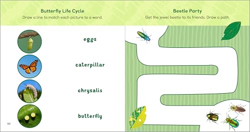The Backyard Bug Book for Kids: Storybook, Insect Facts, and Activities (Little Scientists Learn)