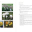 Appalachian Mushrooms: A Field Guide