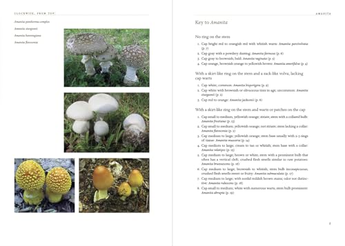Appalachian Mushrooms: A Field Guide