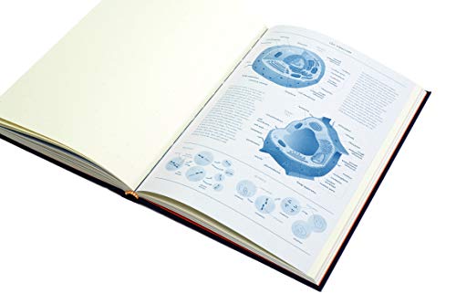 Grids & Guides (Navy): A Notebook for Visual Thinkers