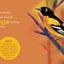 Birding for Babies: Migrating Birds: A Colors Book