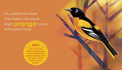 Birding for Babies: Migrating Birds: A Colors Book