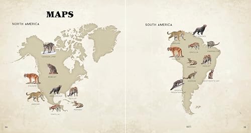 The Big Book of Wild Cats: Fun Animal Facts for Kids