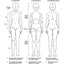 How to Draw Manga: The Female Figure (Manga University Presents ... How to Draw Manga)