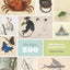 The Paper Zoo: 500 Years of Animals in Art