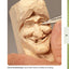 Witch Study Stick Kit (Learn to Carve Faces with Harold Enlow): Learn to Carve a Witch Booklet & Witch Study Stick (Fox Chapel Publishing) Hand-Cast Resin Study Stick and Step-by-Step Instructions