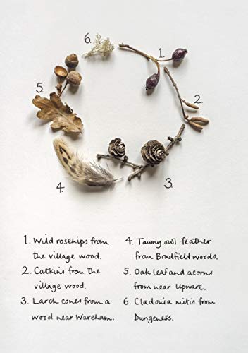 The Wild Remedy: How Nature Mends Us - A Diary