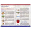 30 Minute Seder: The Haggadah That Blends Brevity With Tradition