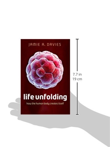 Life Unfolding: How the human body creates itself