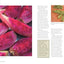 Backyard Foraging: 65 Familiar Plants You Didnt Know You Could Eat