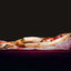 The Anatomical Venus: Wax, God, Death & the Ecstatic
