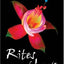 Rites of Love (The Ringing Cedars, Book 8, Part 2)