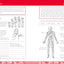 DK Workbooks: Science, Third Grade: Learn and Explore