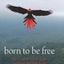 Born to be Free