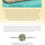 Charleston Historic District Illustrated Map