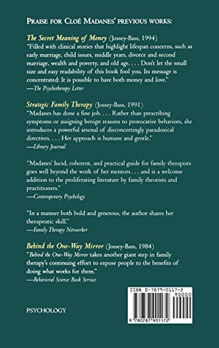 The Violence of Men: New Techniques for Working with Abusive Families: A Therapy of Social Action — back cover