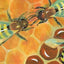 Flight of the Honey Bee: Read and Wonder