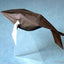 Origami Art: 15 Exquisite Folded Paper Designs from the Origamido Studio: Intermediate and Advanced Projects: Origami Book with 15 Projects