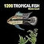 1200 Tropical Fish: An Illustrated Guide to 1200 Fish Species from Around the World