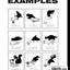 Hand Shadows Activity Book for Kids: 40 illustrations easy to follow and fun. This activity book will be interesting for children, toddlers, preschoolers, children from 3 to 8, 6 to 8 years old.