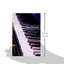 Oxford Bookworms Library: The Piano: Level 2: 700-Word Vocabulary