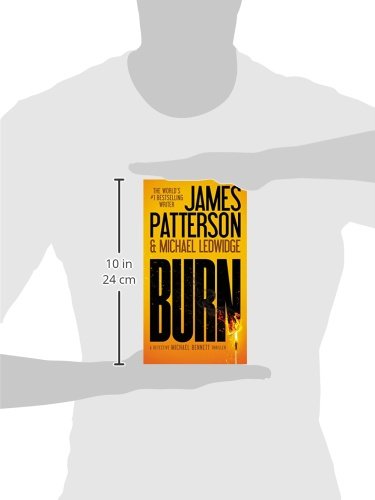 Burn (A Michael Bennett Thriller, 7)