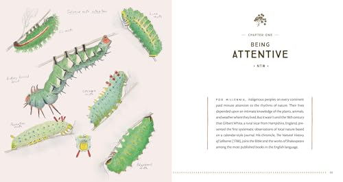 The Naturalist's Notebook: An Observation Guide and 5-Year Calendar-Journal for Tracking Changes in the Natural World around You