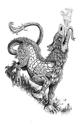 Dragons and Dragonslayers