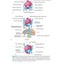 Before We Are Born: Essentials of Embryology and Birth Defects