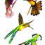 Hummingbirds Stickers (Dover Little Activity Books: Animals)